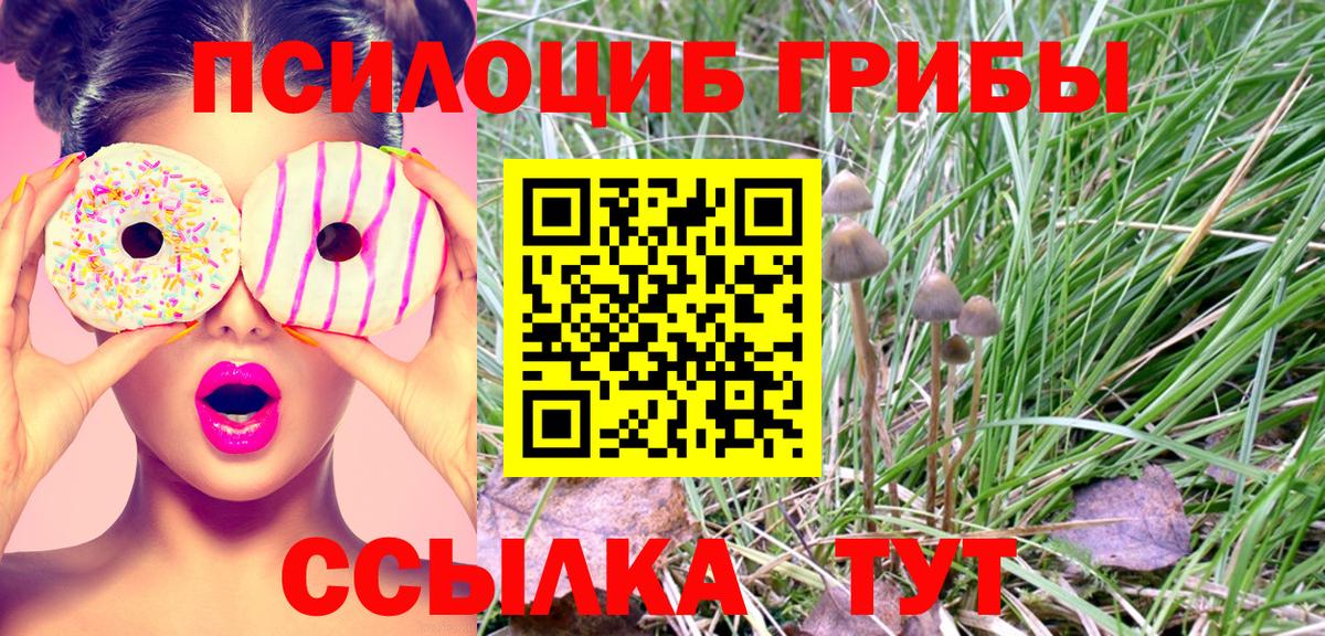 Сосновоборск  магазин  наркотиков  Вход с VPN  Галлюциногенные грибы Cubensis 