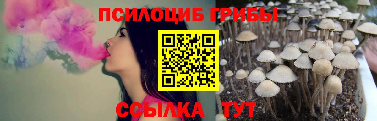Галлюциногенные грибы ЛСД Сосновоборск